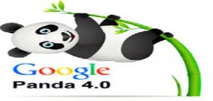 Panda 4.0 – Who Benefited And Who Lost Out!