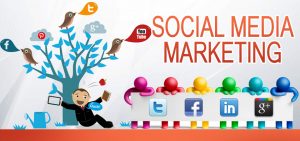 Important Traits To Be a Successful Social Media Marketing Professional