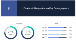 facebook statistics digital seo chennai